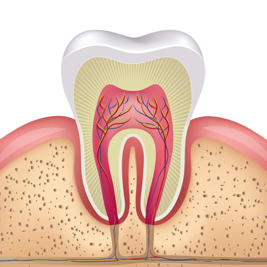 Tratamentos | SHZ Odontologia