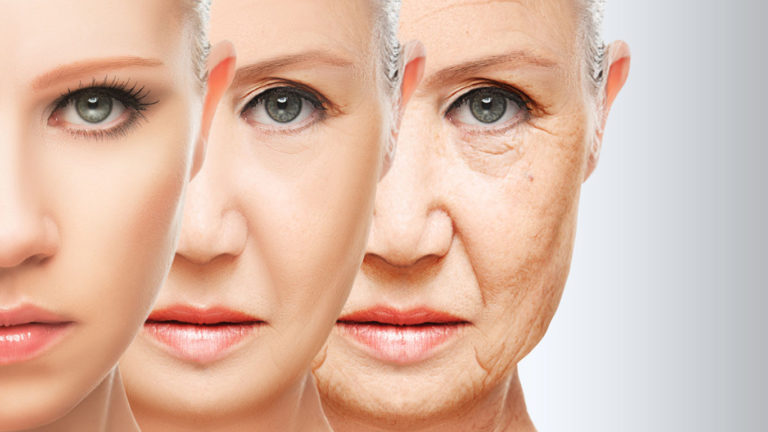 Preenchimento Facial por Compartimentos